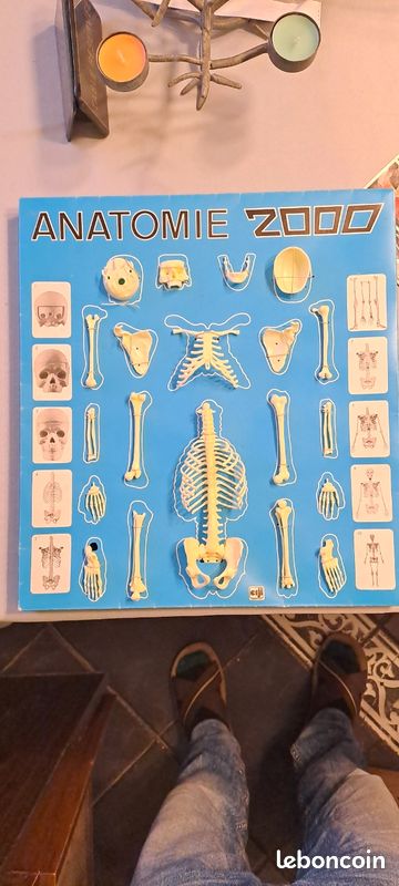 CEJI JEU ÉDUCATIF Anatomie 2000 Vintage Années 70 EUR 50,00 - FR