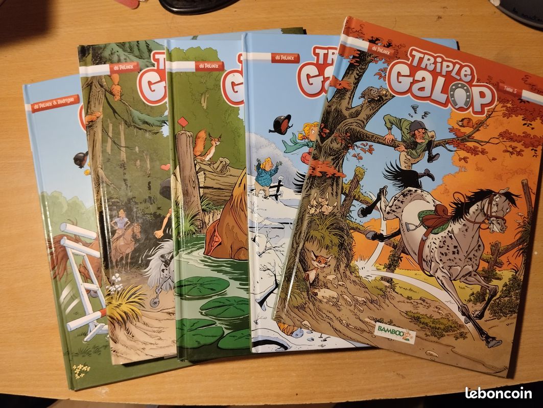 BD triple galop (image 4)