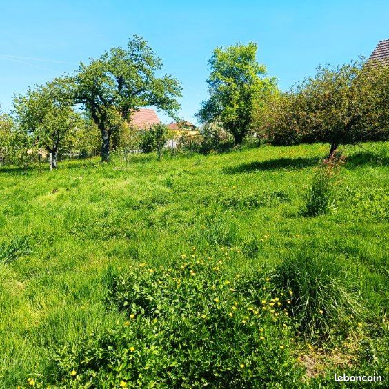 Terrain 608 m² Hirtzbach · 96 000 €
