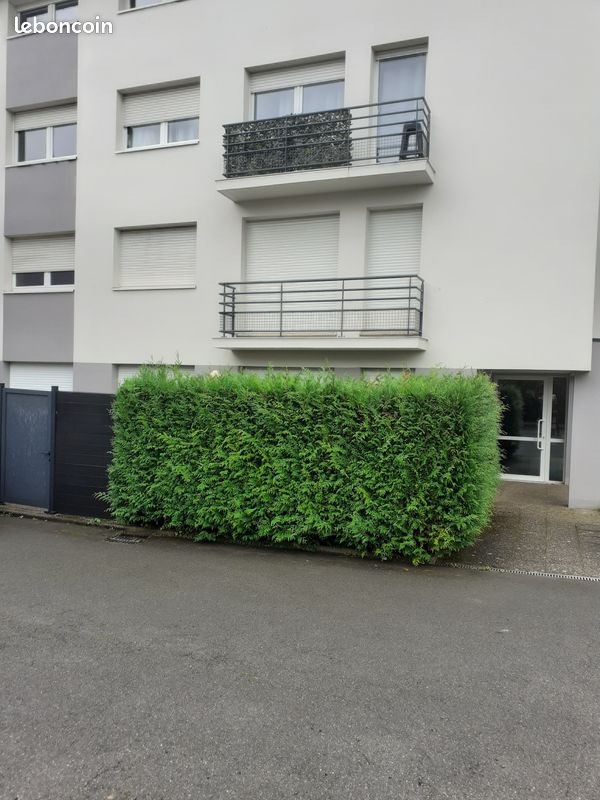 Appartement à louer à thionville (image 2)