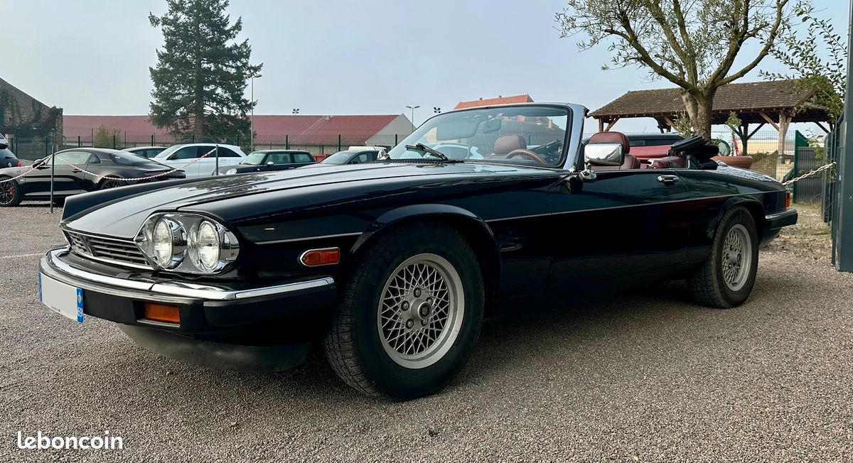 Jaguar XJS Cabriolet V12 5,3 L 295 CV BVA (image 6)
