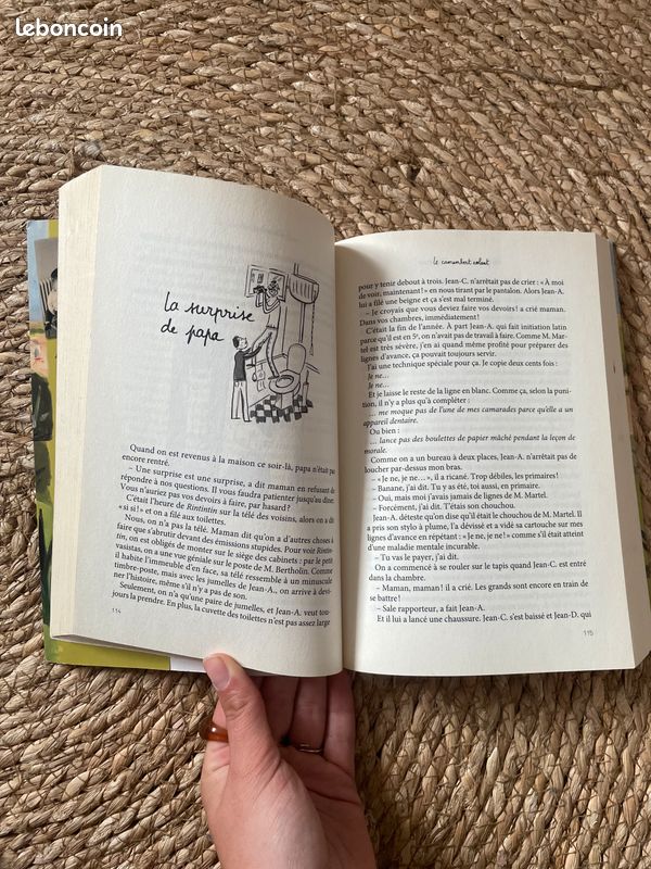 Livre jeunesse (image 4)