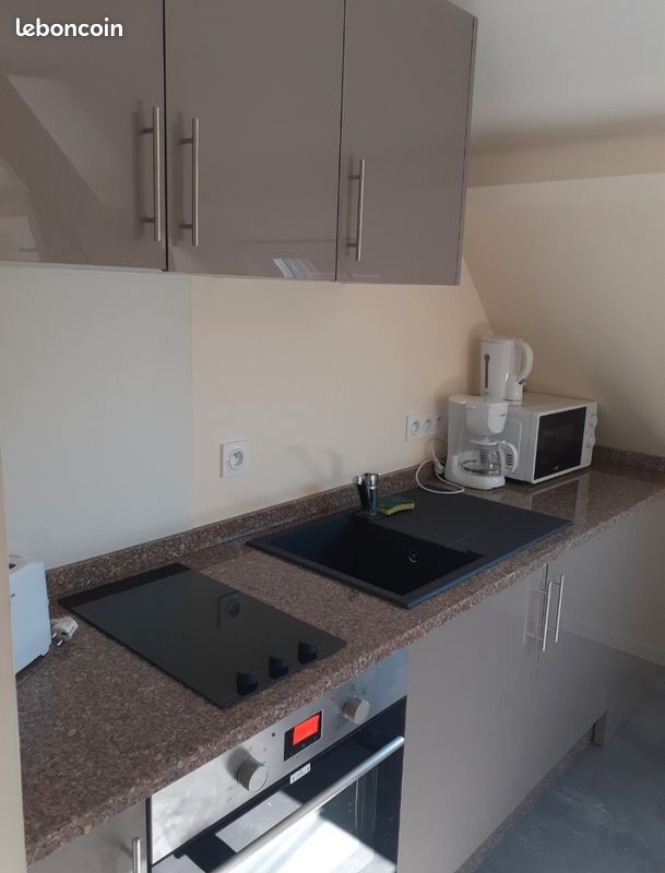 Appartement 1 pièce 19 m² · à Sully-sur-Loire · 19 m² · 500 €/mois