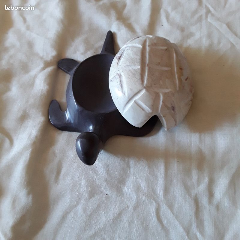 Boîte tortue (image 2)