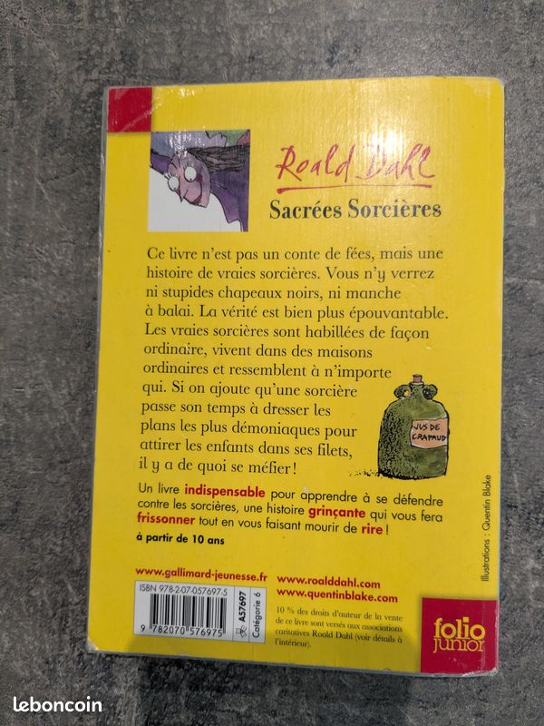 Sacrées sorcières de Roald Dahl (image 2)