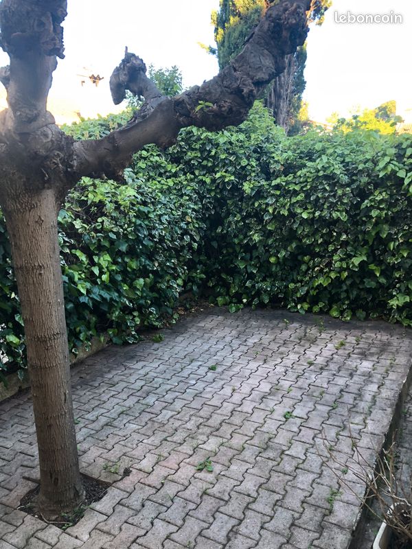 Maison a louer montpellier - 6 pièce(s) - 130 m2 - Surfyn