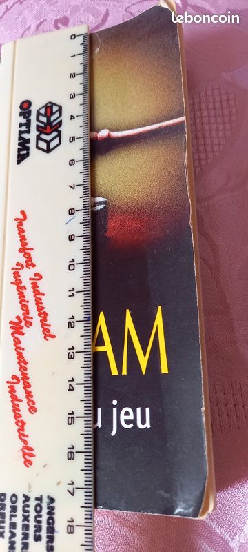 Lot 2 livres Thriller (image 3)
