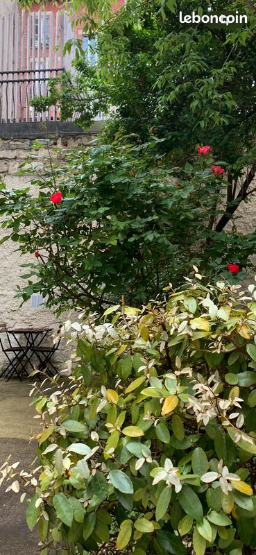 Appartement a louer boulogne-billancourt - 1 pièce(s) - 30 m2 - Surfyn