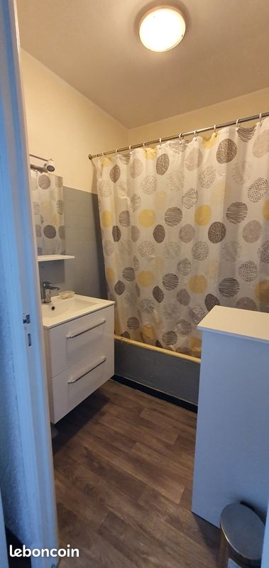 Disponible à la location à partir de 500 euros/semaine Magnifique T2 à Canet en Roussillon - Front de mer (hors et pleine saison) (image 9)