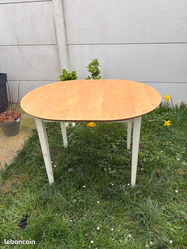 Table +rallonges (image 1)