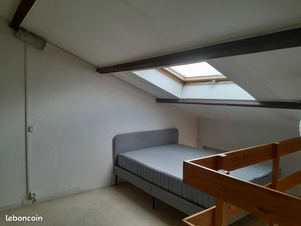 T1 bis st cyprien — 3