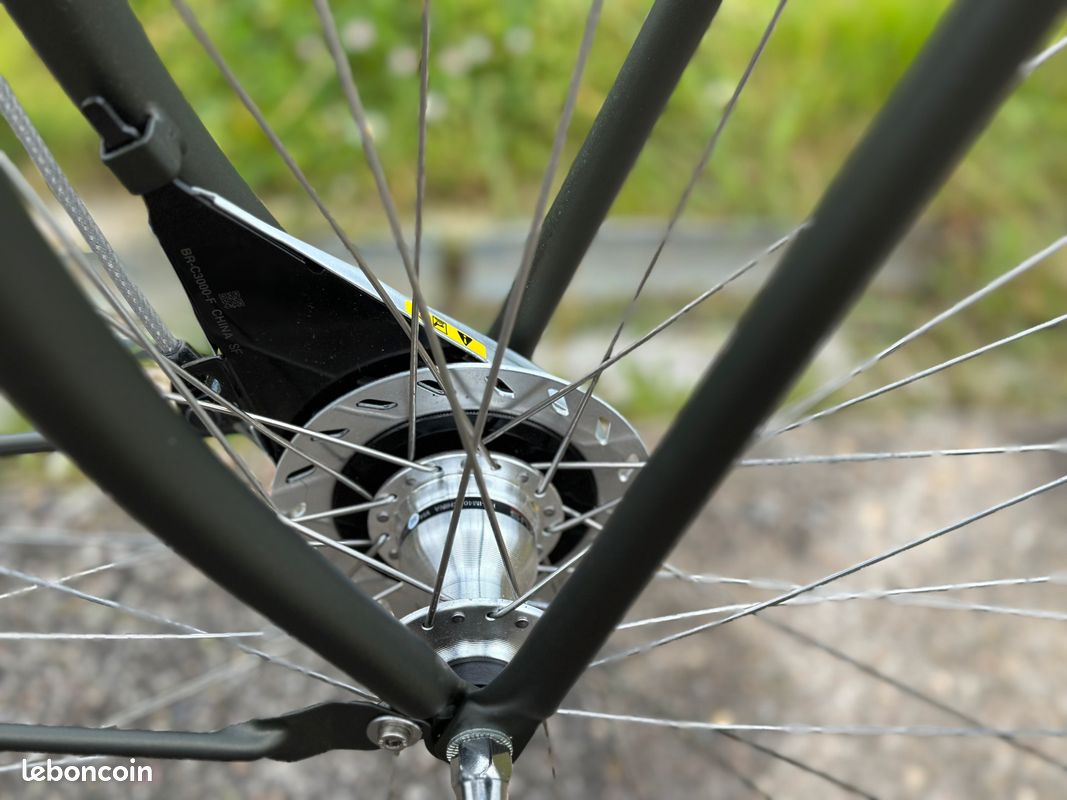 Vélo Hollandais Femme Cortina U4 Vert foncé (image 6)