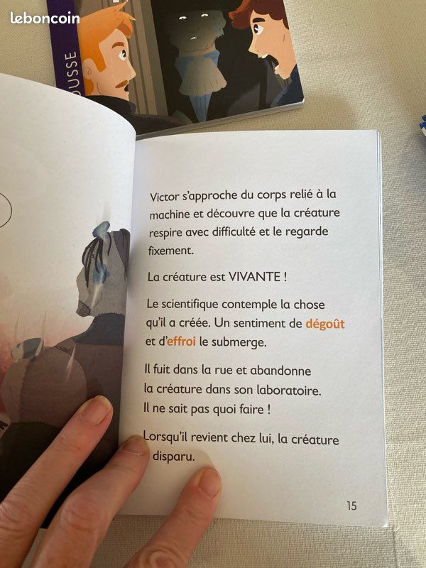 Lot livres ce2/Cm1 (image 4)