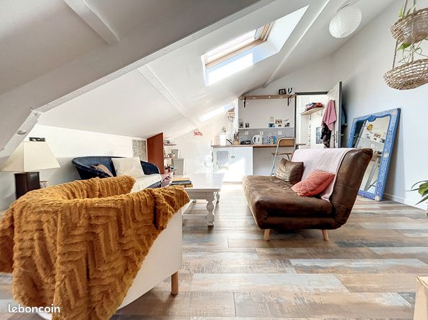Appartement 1 pièce 20 m²