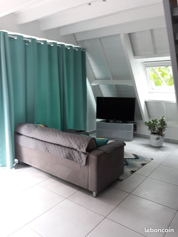 Chalet tillandsia (image 8)