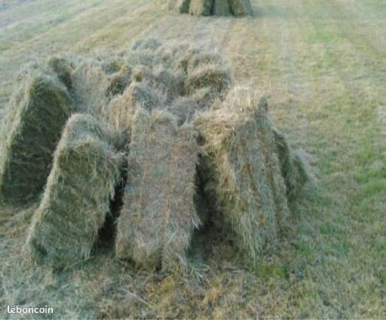 Terres agricoles