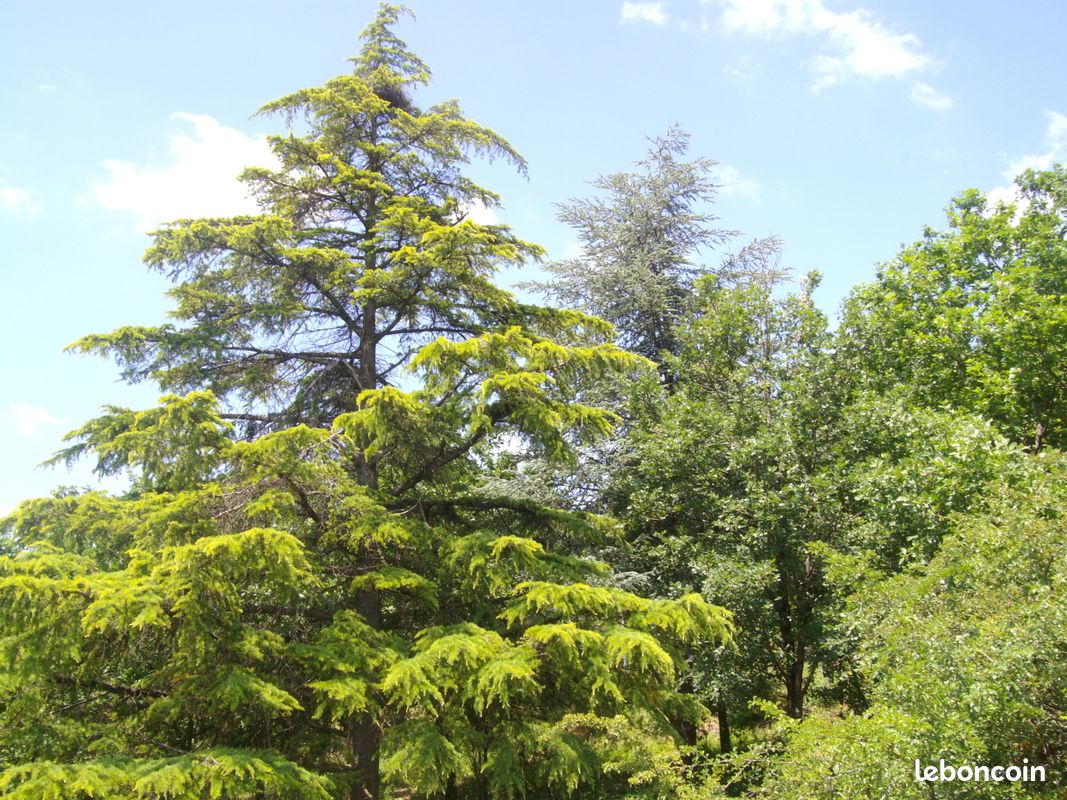 Gîte de France (image 10)