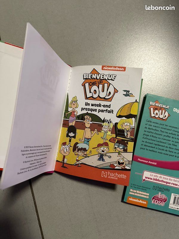 Bienvenue chez les loud (image 5)