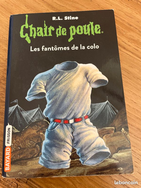 Chair de poule les fantômes de la colo RL Stine (image 2)