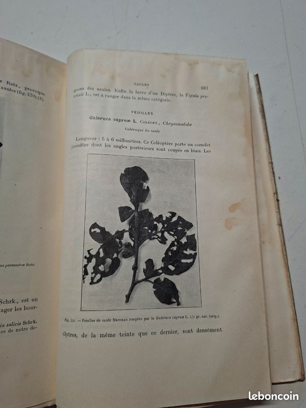 1445J: Traité D Entomologie Forestière A Barbey 1925 8 Planches Couleurs (image 6)