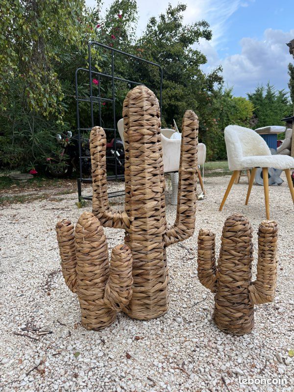 Lot 3 cactus (image 2)