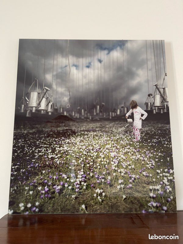 La dernière pluie, Magnaldo sous plexiglass (image 1)