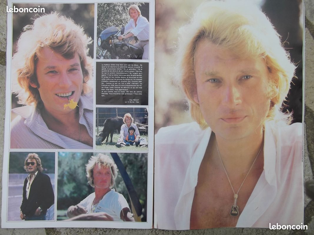 Johnny hallyday (image 1)