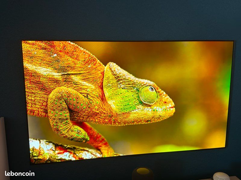 LG OLED G1 65" + carton origine (image 3)
