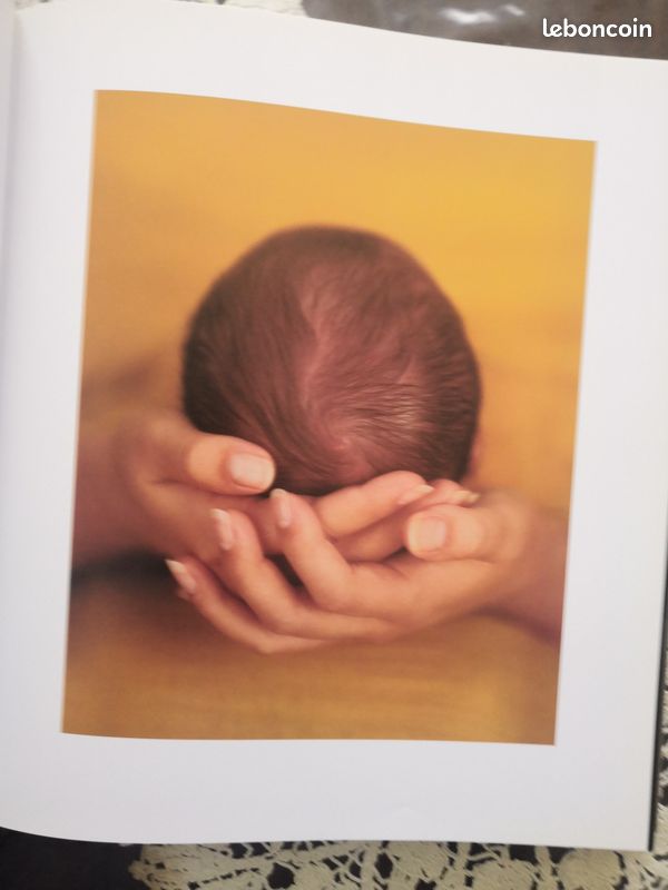 Livre photos femmes enceintes mère d'anne Gueddes (image 3)