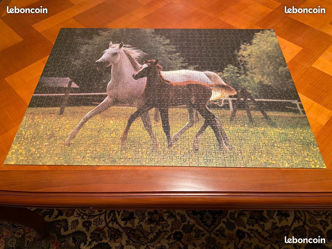 Puzzle RAVENSBURGER 1000 pièces (image 2)