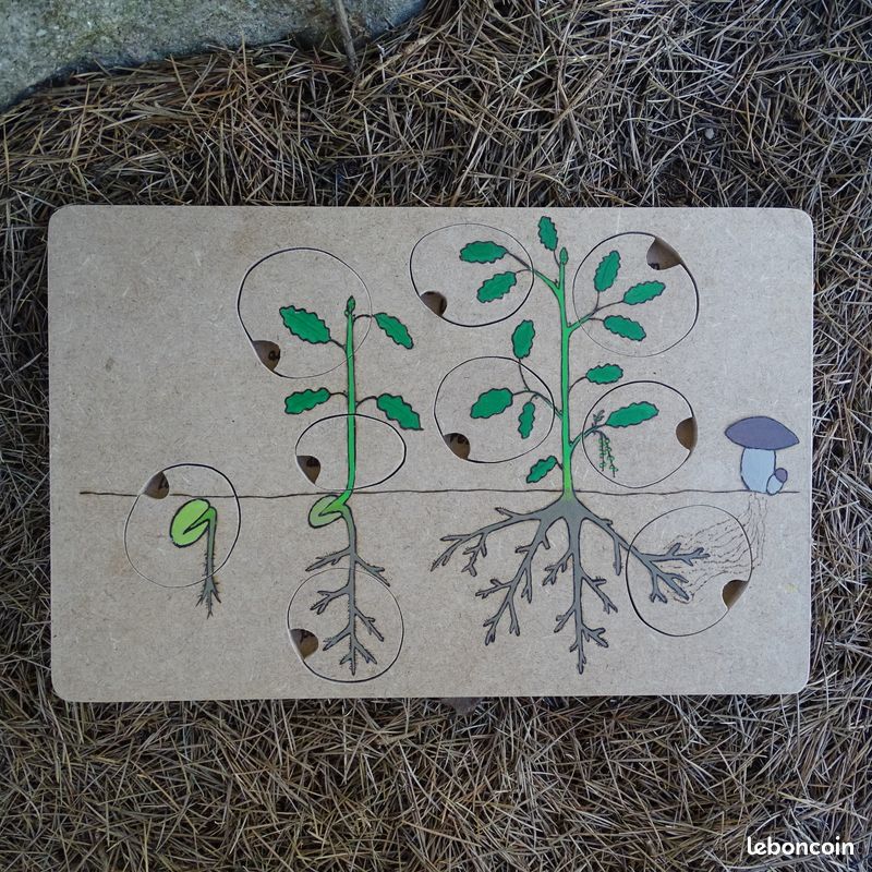 [Fait main][NEUF] Puzzle / jeu d'encastrement feuilles d'arbre, animaux, plantes (image 7)