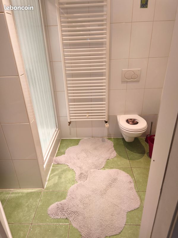 Appartement 1 pièce 25 m² · à Gros-Réderching · 25 m² · 410 €/mois
