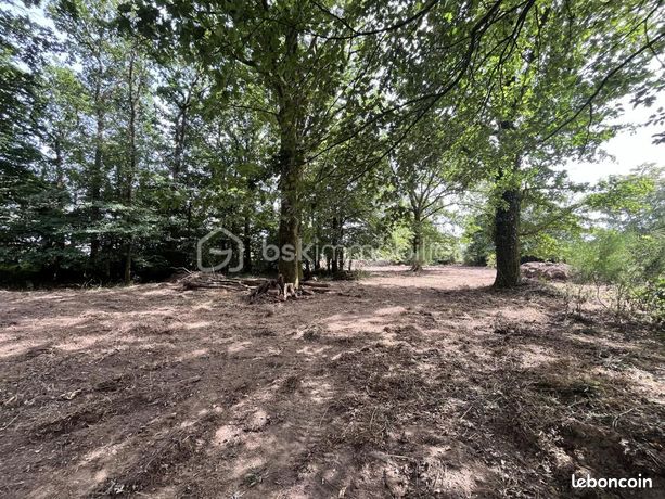 Terrain 5 995 m² Les Brouzils