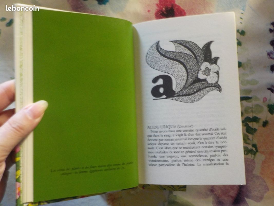 NOS AMIES LES PLANTES T1 à 3 par D. MANTA et D. SEMOLLI Ed. Famot (image 6)
