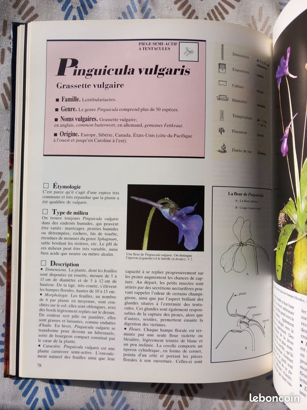 Livre Plantes Carnivores Marcel Lecoufle (image 4)
