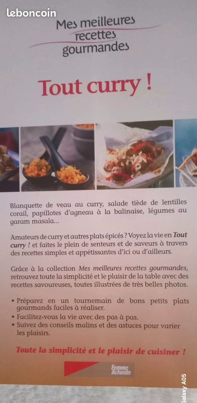 Recettes tout curry "Femme Actuelle "/ neuf (image 3)