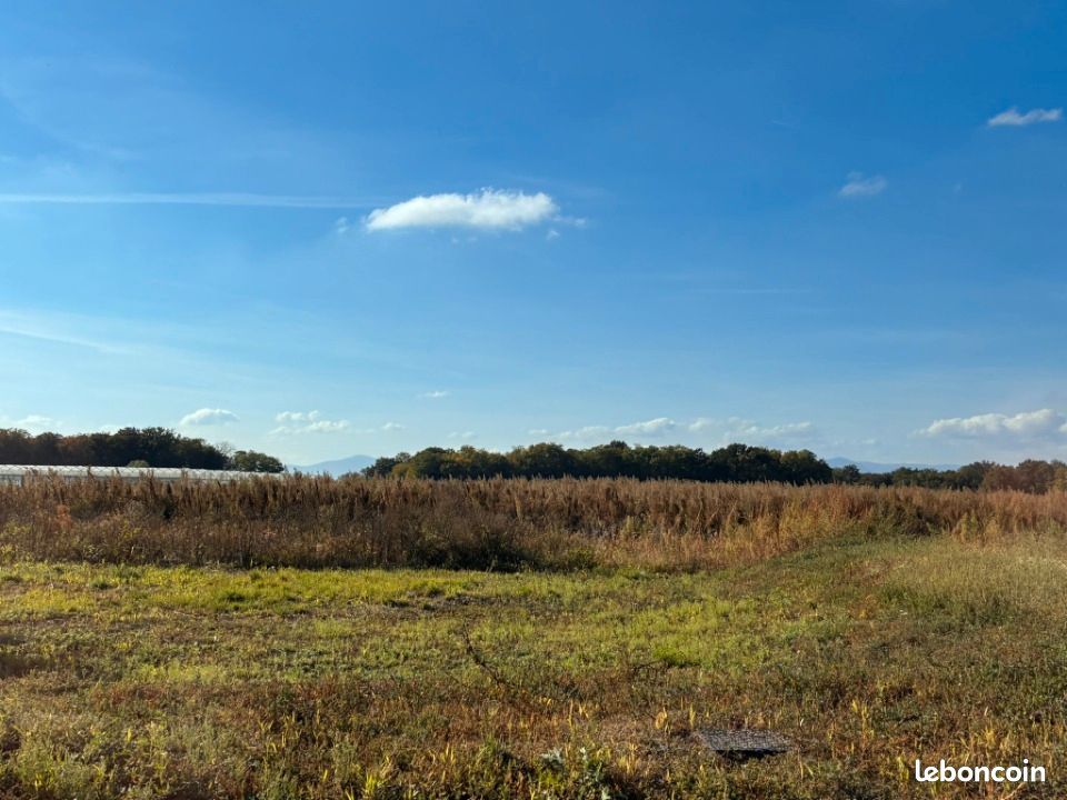 Terrain 514 m² · à Bindernheim · 94 370 €