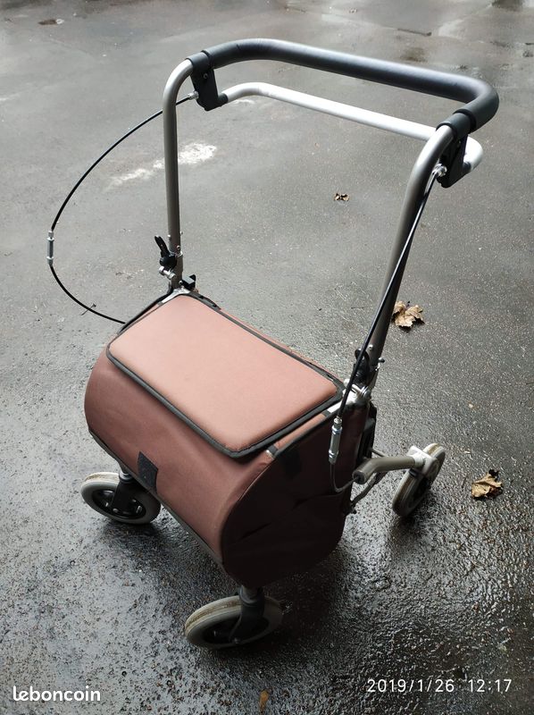 Chariot shopping rollator 4 roues (image 1)
