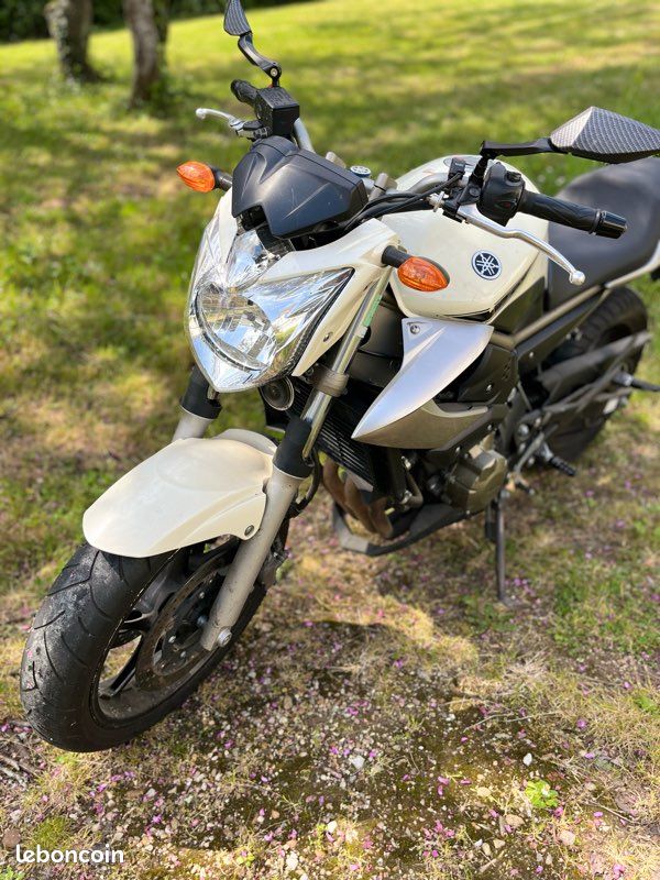 Yamaha XJ6 2010 (image 1)
