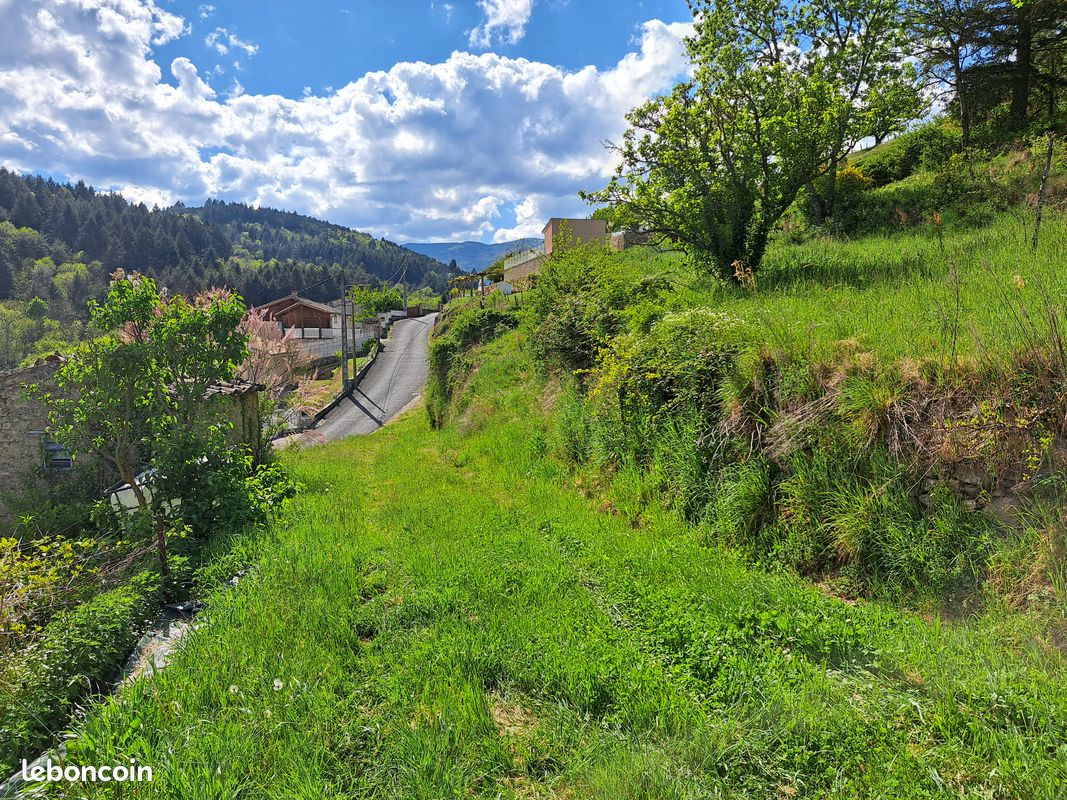 Terrain 2600m2-projet conctruction-Villevocance · 58 000 €
