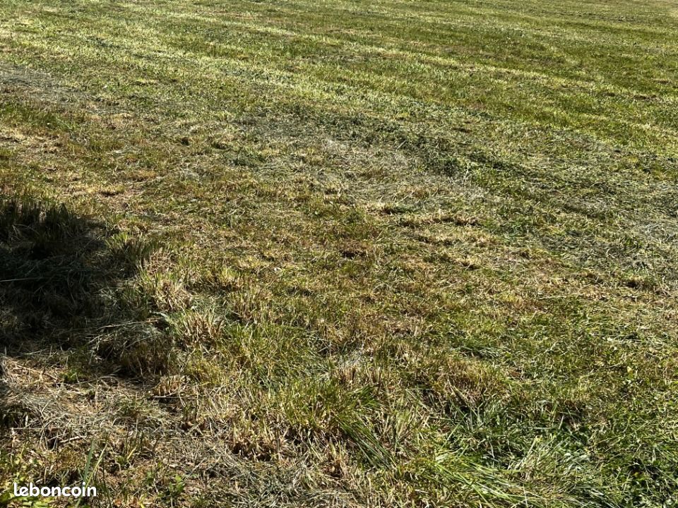 Terrain 1 000 m² Les Gonds · 39 000 €