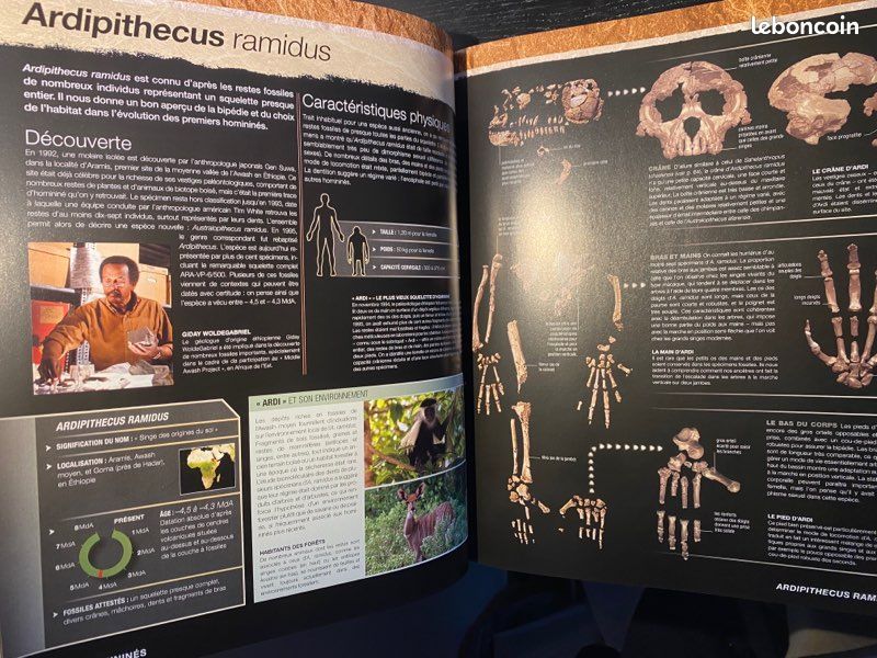 Evolution, l’Histoire de l’Homme - Alice Roberts - Delachaux et niestlé (image 6)