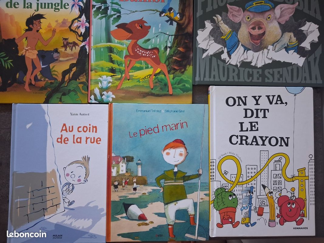 Lot de 9 livres enfants en bon état (image 4)