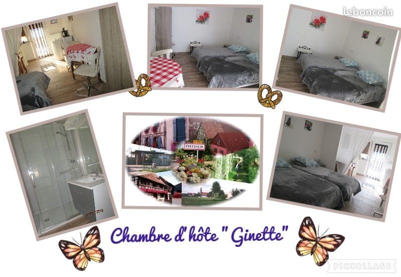 Chambre d'Hote "Chez Ginette" centre Alsace (image 1)