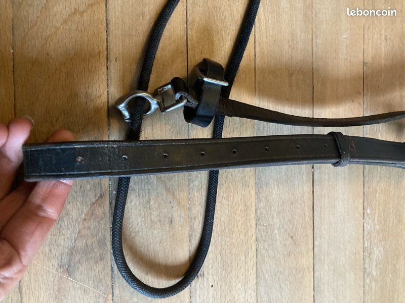 Gogue cheval fouganza (image 2)