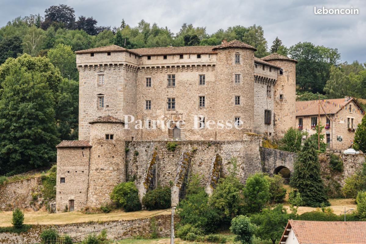 Maison 20 pièces 760 m² · à Chalmazel-Jeansagnière · 760 m² · 980 000 €