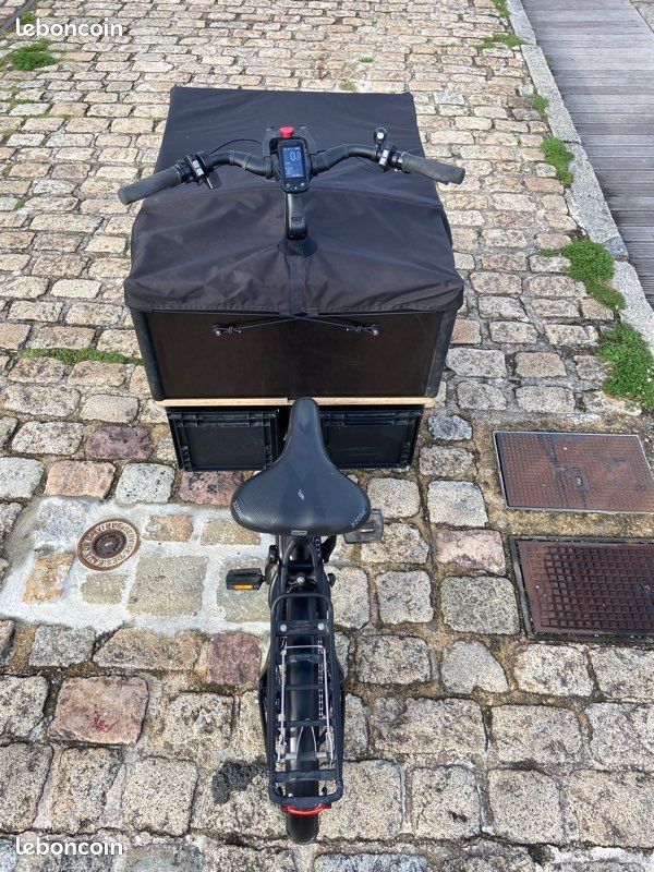 Vélo cargo triporteur pendulaire électrique Chike E-Cargo (image 9)