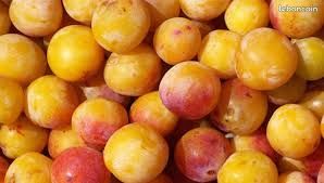 Mirabelles (image 1)