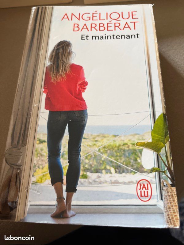 Lot de 3 livres de poche Angélique Barberat (image 5)