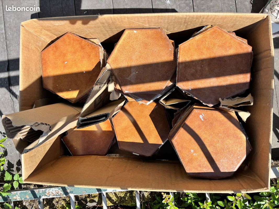 Lot plaques carrelage effet tomette hexagonal 11cm (image 1)